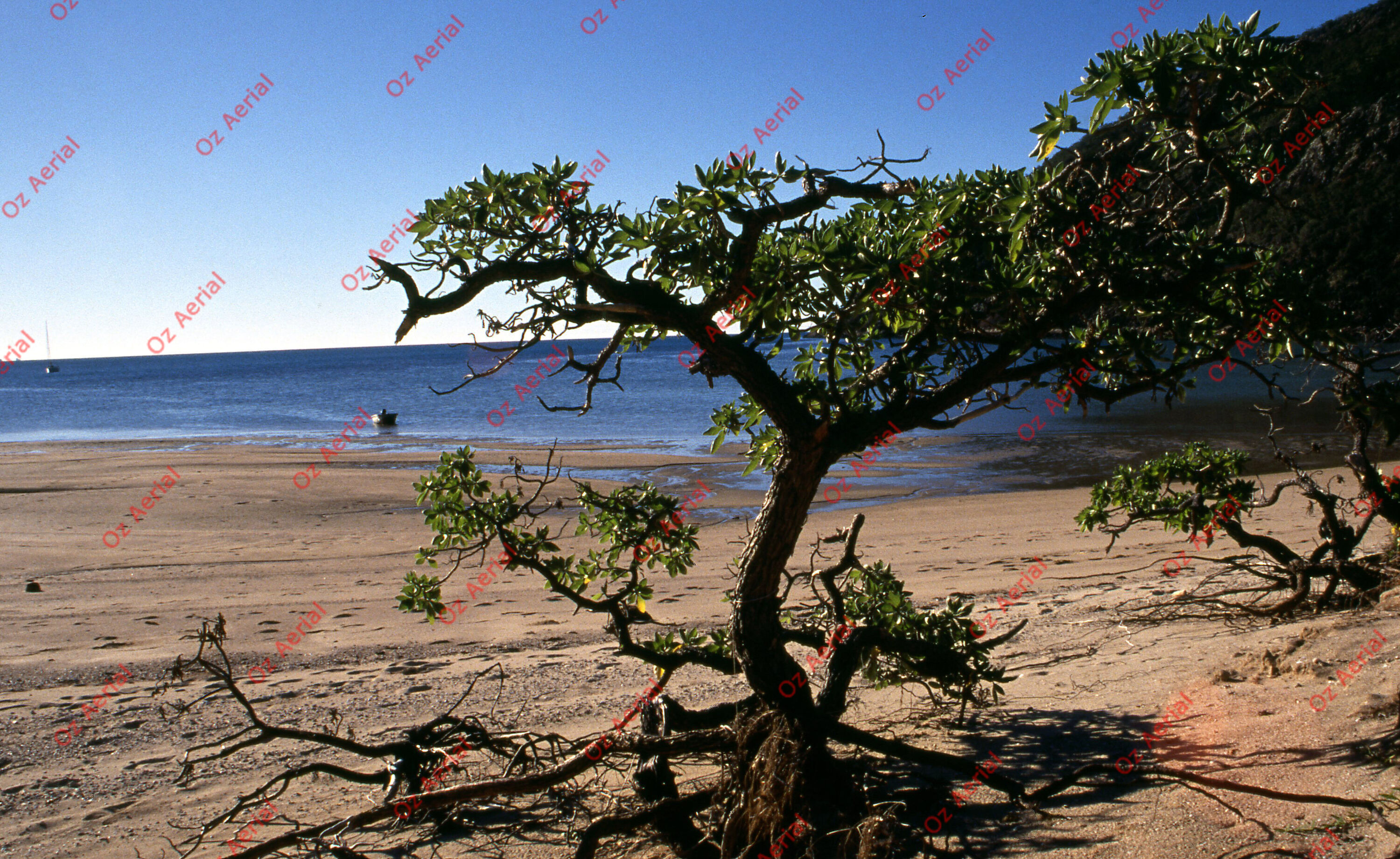 Airlie Beach  –  6094b713db1e0_a13.jpg