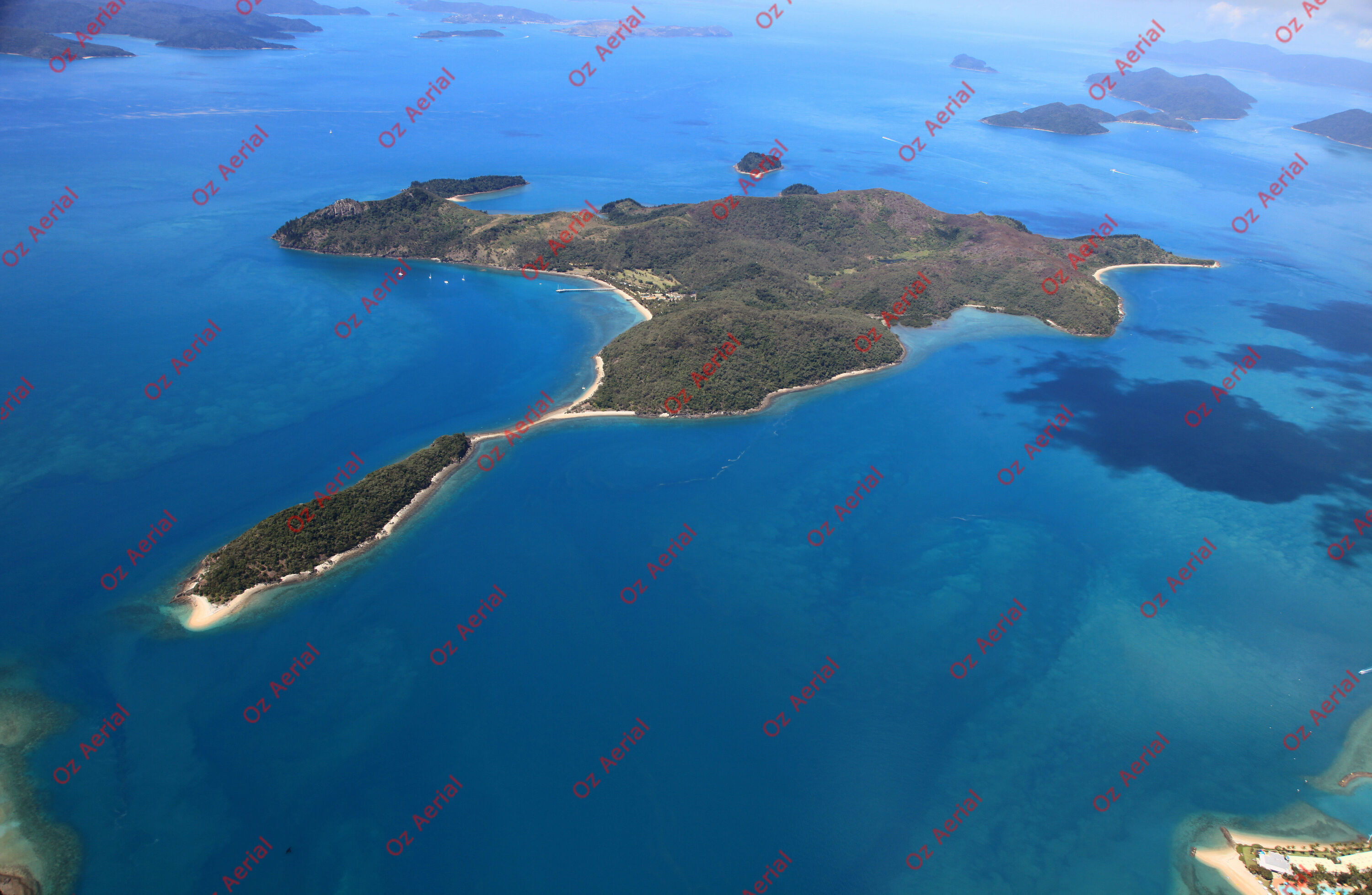 South Molle Island  –  IMG_7055.JPG